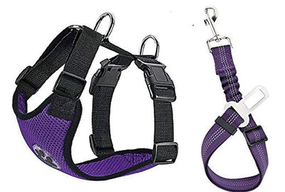 Cuerda Reflectante y Transpirable para Perros - Image 18