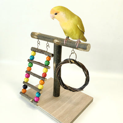 Solid wood parrot stand with multiple natural branch perches and a pinecone, featuring a cockatiel. - Image 2