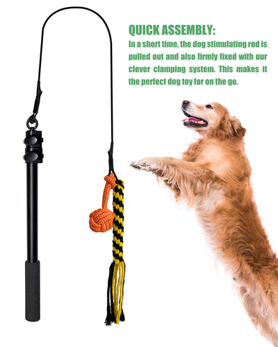 Telescopic dog teasing rod toy with black foam grip and multiple colorful rope attachments, including a carrying bag. - Image 15