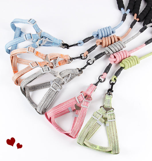 Correa de Pecho Nylon para Perro con Cadena Trenzada - Diseño Fashion - Image 14