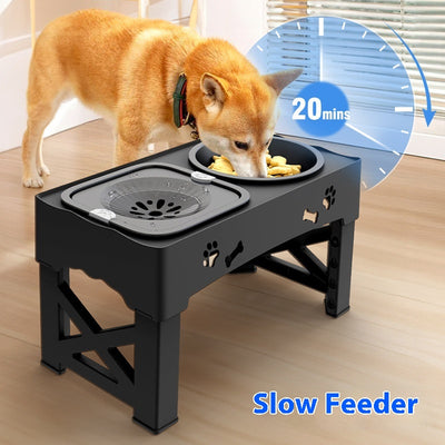 Comedero Elevado Doble para Mascotas en Acero Inoxidable - Image 4