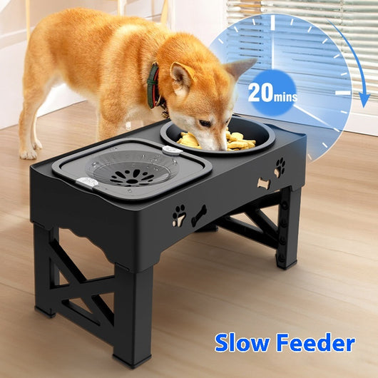 Comedero Elevado Doble para Mascotas en Acero Inoxidable - Image 4