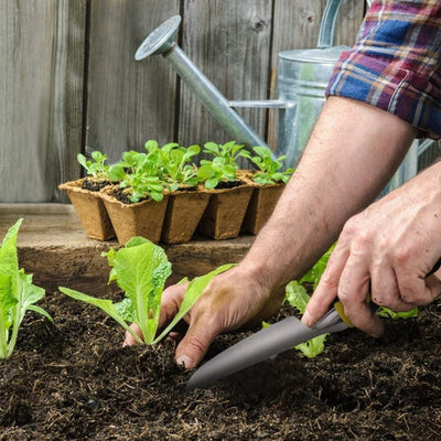 Juego de 8 Herramientas de Jardín en Aleación de Aluminio con Mango Ergonómico - Image 12