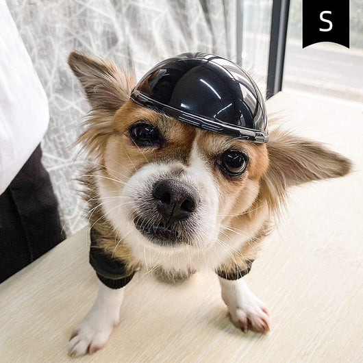 Black pet helmet with an adjustable chin strap and a pair of black pet goggles with an elastic strap. - Image 5
