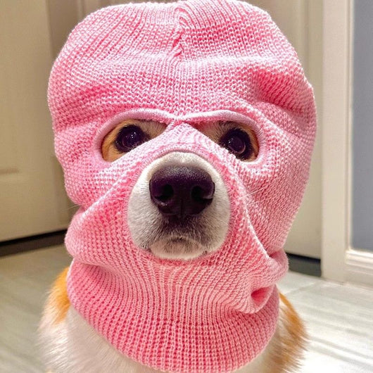 Gorro Creativo para Perro Corgi - Diadema Divertida para Mascotas