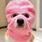 Gorro Creativo para Perro Corgi - Diadema Divertida para Mascotas