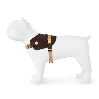 Arnés de Moda Urbana para Mascotas - Image 5