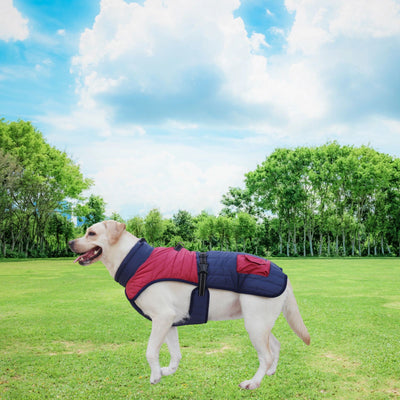 Abrigo Térmico para Perros - Invierno y Otoño - Image 18