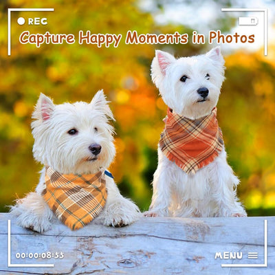 Pañuelo Clásico a Cuadros para Perro con Borlas - Accesorio Elegante para Otoño - Image 8