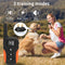Collar Eléctrico Adiestramiento Perros Recargable Impermeable Control Remoto