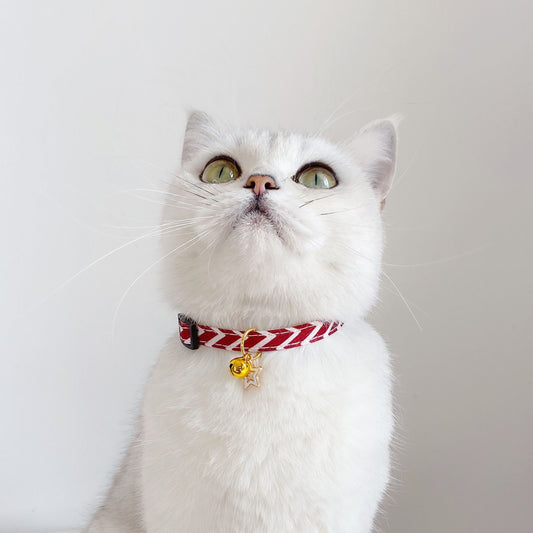 Collar Ajustable para Mascotas con Diseño Geométrico Pentagram