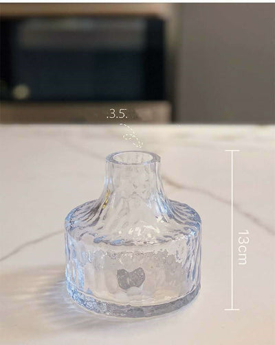 Maceta Colgante Helada con Planta Clorofitum Hidropónica - Image 40