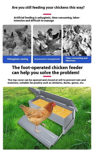Comedero Automático con Pedal para Aves de Corral - Gallinas, Patos y Gansos - Image 9