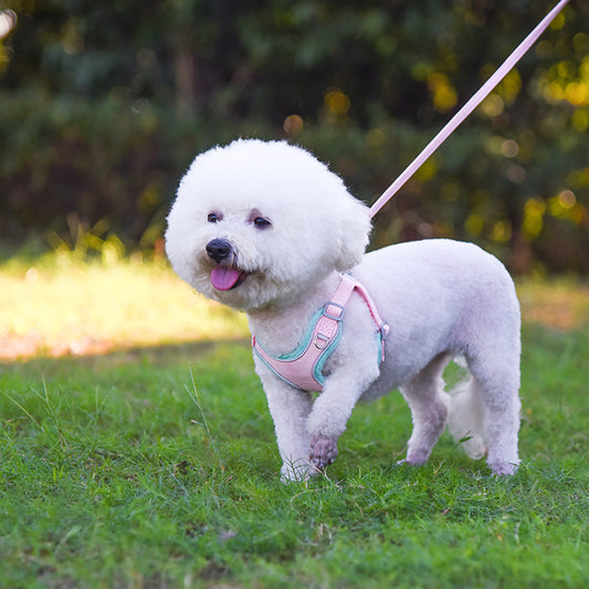 Arnés Ajustable para Perros y Correa Cómoda para Mascotas - Image 2
