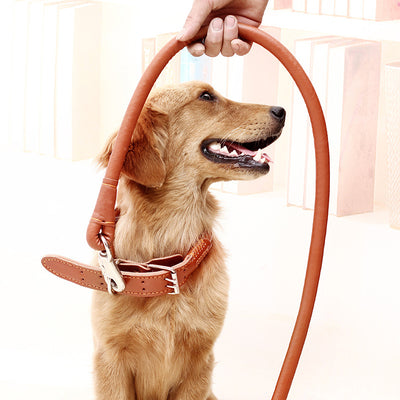 Juego de Correa de Tracción y Paseo para Perros - Image 3