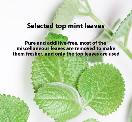 Pure Cat Mint Powder pouch with two kittens, a green leaf graphic, and a window showing dried catnip leaves. Label reads 'Catnip Leaves' and '5g'. - Image 13