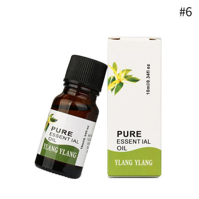 Aceite Esencial Aromaterápico 10ML - Bienestar Natural - Image 6