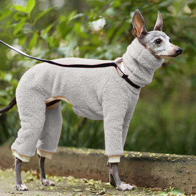 Ropa de Algodón Cálida y Moderna para Perros - Image 6
