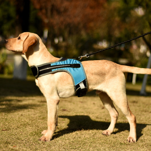 Correa LED Luminosa en Forma K para Mascotas de Color Sólido