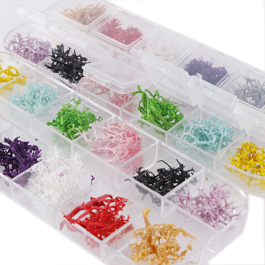 Set de 12 Cajas de Joyas con Flores Secas Naturales - Image 20