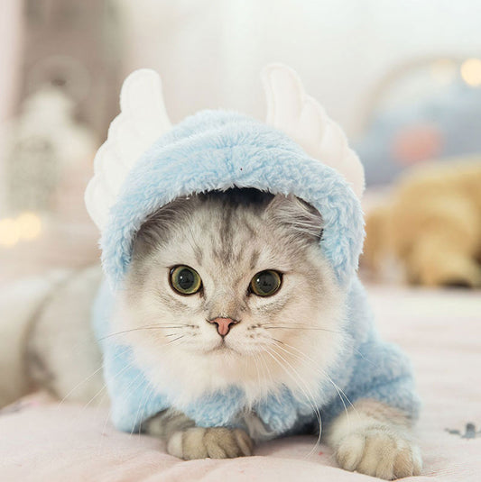 Ropa para Gatos y Gatitos - Diseños Divertidos y Adorables - Image 2