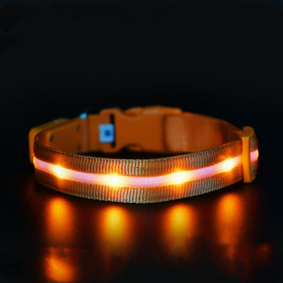 Collar Luminoso USB para Mascotas - Seguridad Nocturna Recargable