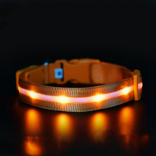 Collar Luminoso USB para Mascotas - Seguridad Nocturna Recargable