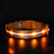 Collar Luminoso USB para Mascotas - Seguridad Nocturna Recargable