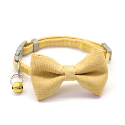 Collar y Correa para Perro - Image 17