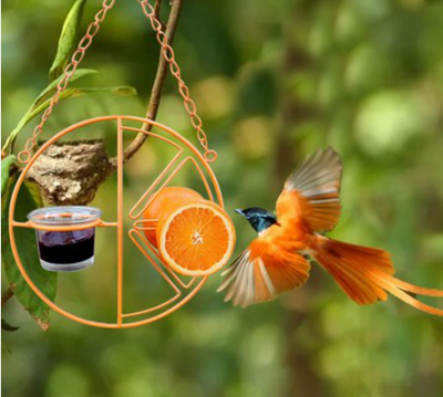 Soporte Metálico Colgante para Comedero de Colibríes - Image 6