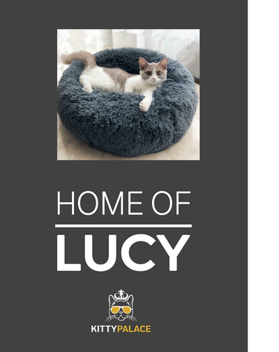 Cama para mascotas con tapete personalizado - Image 8