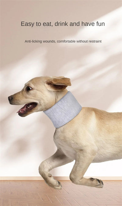 Collar Isabelino Ajustable para Perros y Gatos - Protección Post-Operatoria y Cicatrización - Image 14