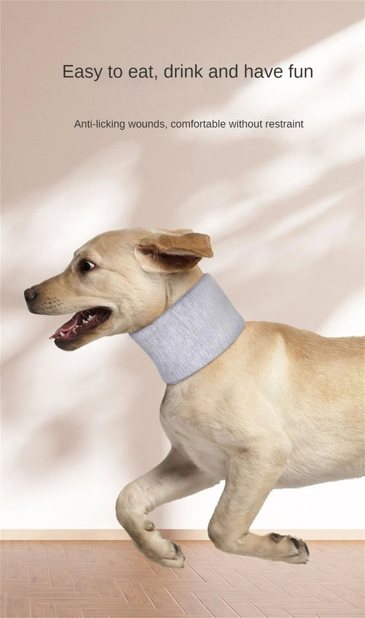 Collar Isabelino Ajustable para Perros y Gatos - Protección Post-Operatoria y Cicatrización - Image 14