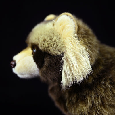 Peluche Mapache Adorable - Juguete de Peluche Suave - Image 10