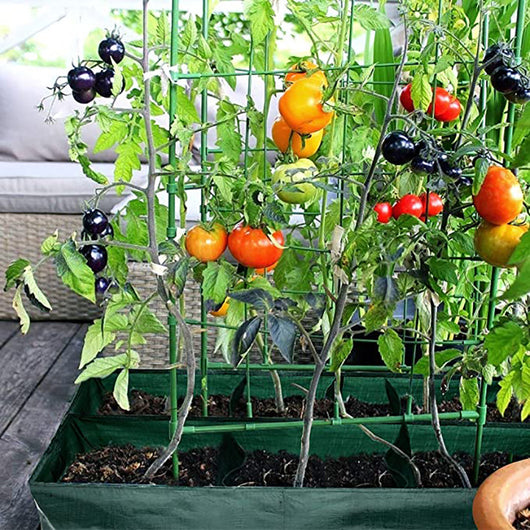 Bolsa de Cultivo con Rejilla Multicompartimento