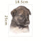 Perro 2
