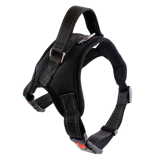 Collar para Perro Mediano y Grande de Calidad Premium - Image 8