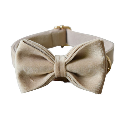 Collar de Terciopelo Nude para Mascotas - Image 6