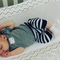 Gris Stripe