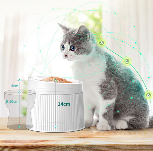 Comedero Doble Geométrico para Gatos - Image 7