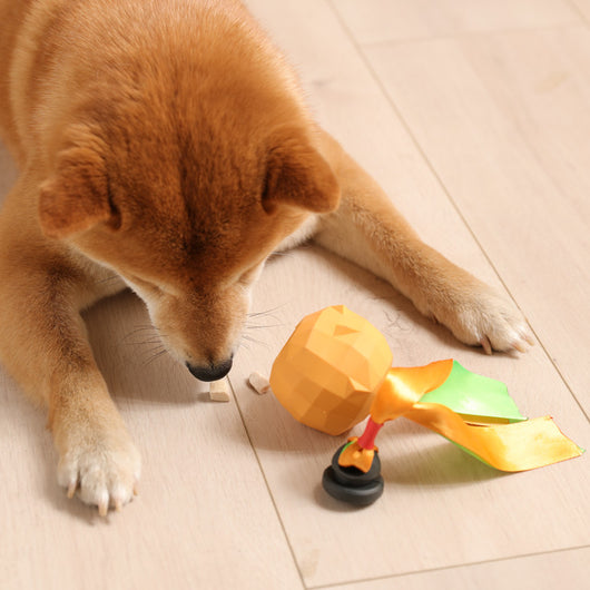 Lime green bell-shaped dog toy with a faceted, geometric surface for teeth cleaning. - Image 5