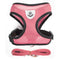 Rosado L
