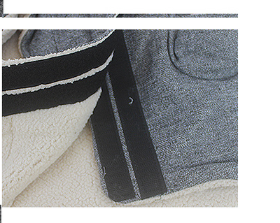 Ropa Térmica Premium para Perros y Gatos - Image 8