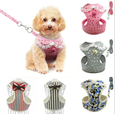 Chaleco Transpirable para Perros - Diseño Cómodo y Elegante - Image 2