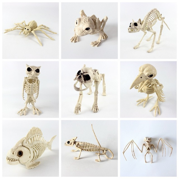 Cráneo Animal de Plástico - Réplica Esqueleto Decorativo
