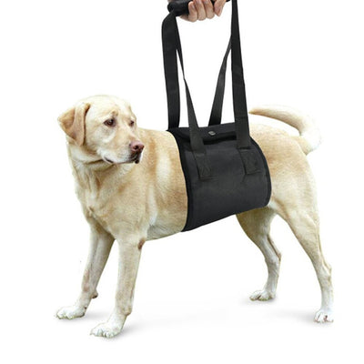 Cinturón Auxiliar para Pasear Perros