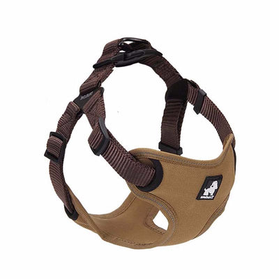Correa y Collar para Pasear Perros - Control Seguro y Cómodo - Image 3