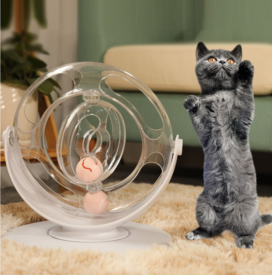 Clear plastic cat turntable toy with two pink balls inside, designed for interactive play and entertainment. - Image 2