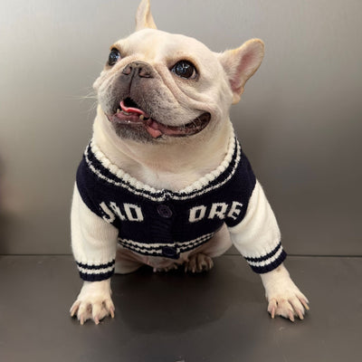 Suéter Arcoíris para Mascotas - Diseño Divertido para Gatos y Perros - Image 10