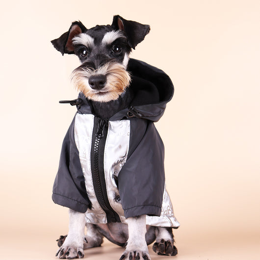 Impermeable Reflectante para Perros con Forro de Algodón - Image 13